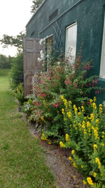 IMG_20170630_202017660_HDR